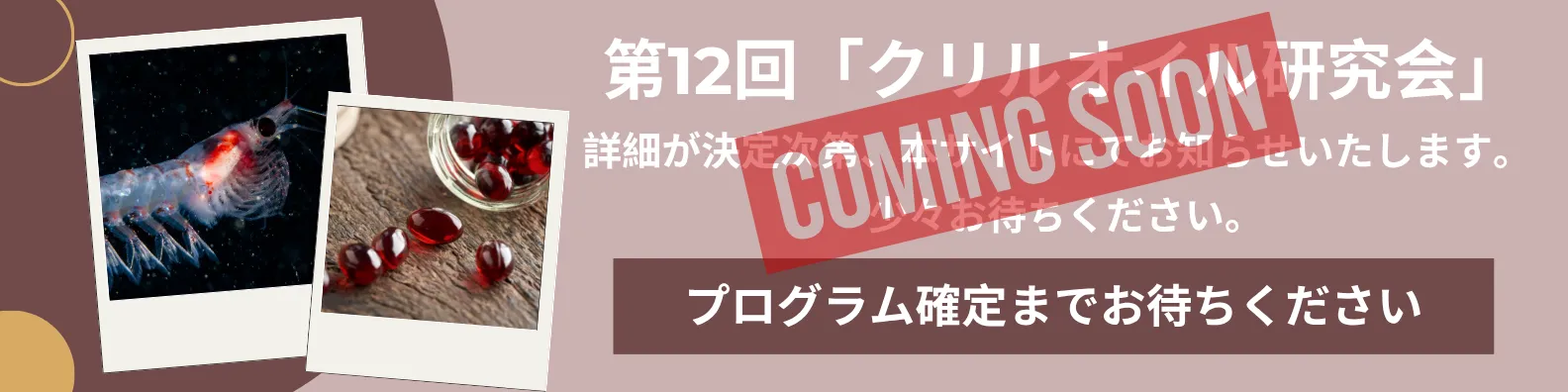 プログラム確定までお待ちください。