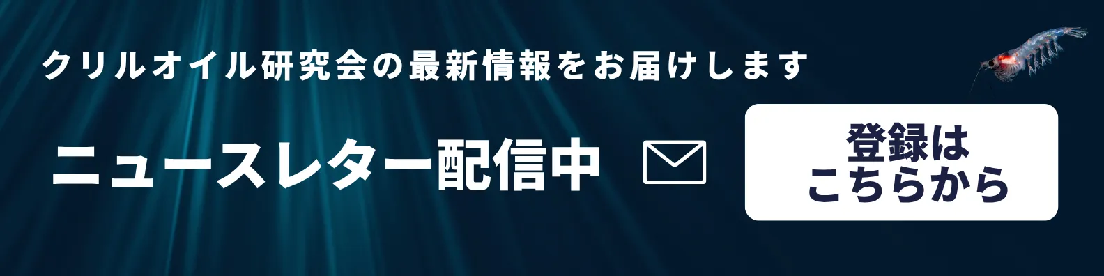 ニュースレター登録はこちら